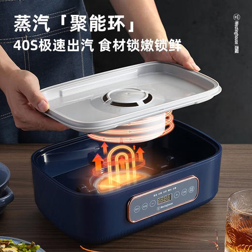 西屋Westinghouse-电蒸锅WZL121 商品图3