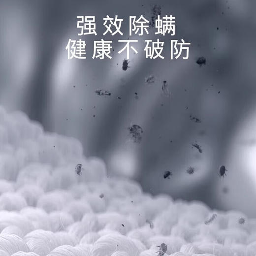 西门子IQ800欧洲进口干衣机10+10kg洗烘套装智能除渍  WG52A100AW/WQ56A6A00W 商品图2