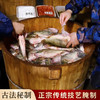 【徽之道】安徽特产正宗臭鳜鱼 徽州黄山美食净膛半成品徽菜速食臭桂鱼 商品缩略图1