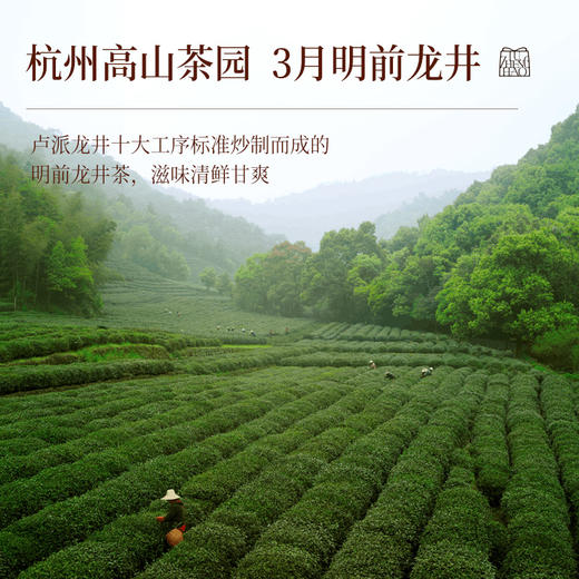 卢正浩首创龙井柑茶新会核心小青柑杭州高山龙井罐装 商品图1