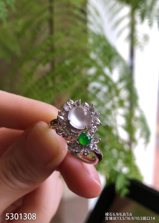 5301308，蛋面戒指。具体价格微信咨询 商品图1