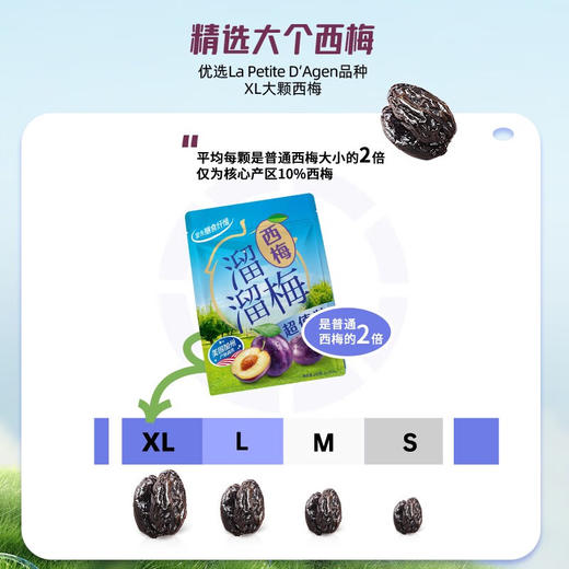 溜溜梅260g西梅×2 商品图1