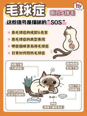 毛球症大揭秘❗这些信号是猫咪的“SOS”