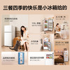 TCL 116升迷你双门白色小冰箱 二级能效 节能低音 宿舍租房 R116L5-B 商品缩略图1
