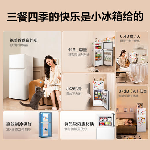 TCL 116升迷你双门白色小冰箱 二级能效 节能低音 宿舍租房 R116L5-B 商品图1