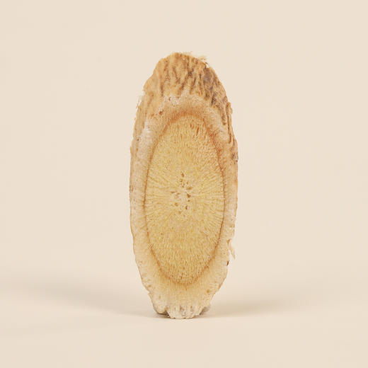 正安 甘肃黄芪 2年种植冬季采挖 精选主根切片优质原材 自然清香 黄芪 商品图11