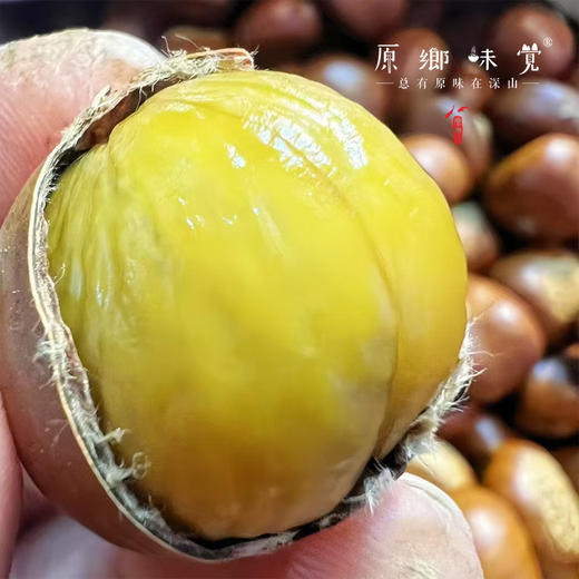 【每周二周五发货】怀柔生态鲜板栗/速冻板栗仁（基地直发-申通包邮） | 多种规格，来自北京怀柔，生产者：王秀亮【合作生产，公平贸易】 商品图10