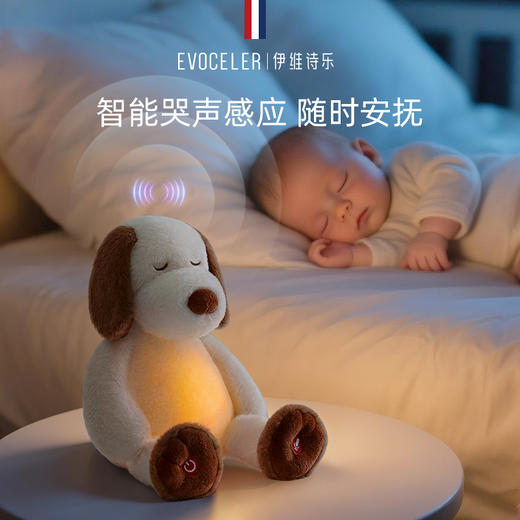 伊维诗乐电动玩偶 商品图5