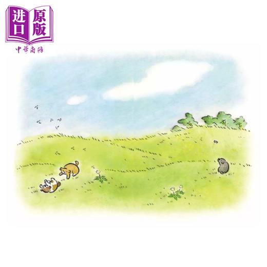 预售 【中商原版】狗狗想传达的事 尽管如此 狗狗还是只想和你在一起 三浦健太 奇光文化 港台原版 商品图1