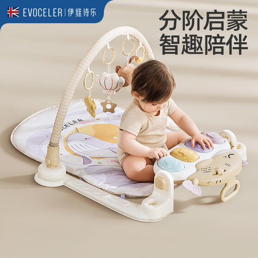 伊维诗乐健身架 商品图1