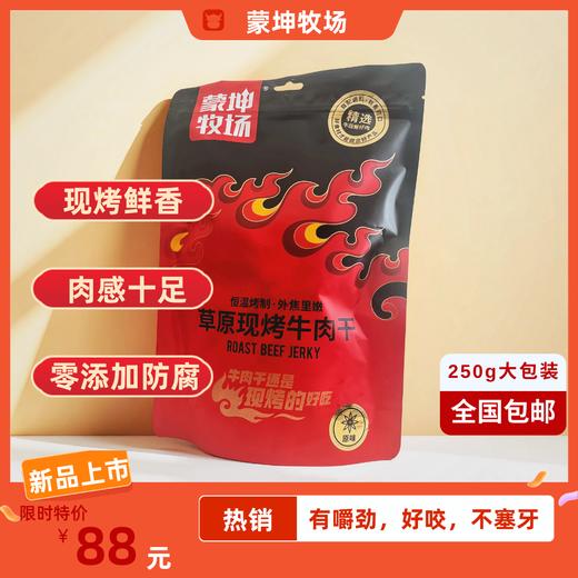 蒙坤牧场草原现烤牛肉干无添加健康牛肉小零食孕妇小孩放心吃两大包一斤装 商品图0