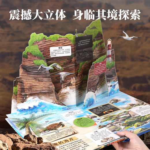 【青葫芦】那么大！立体书：海洋 3-8岁 儿童3d立体书 商品图2