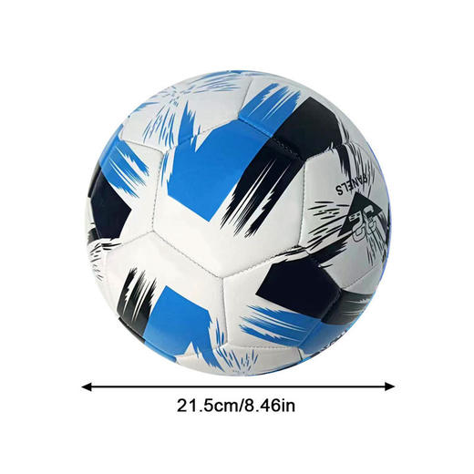 【青少年训练必备⚽】5号成人青少年机缝耐磨中小学生训练比赛专用PVC足球，耐磨防漏气，脚感舒适的专业PVC足球！轻松控球稳定，陪你踢出精彩每一球🔥 商品图7