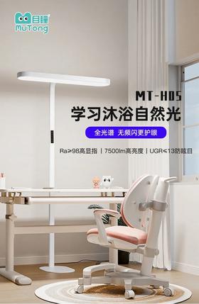 目瞳MT-HO5全光谱落地小路灯