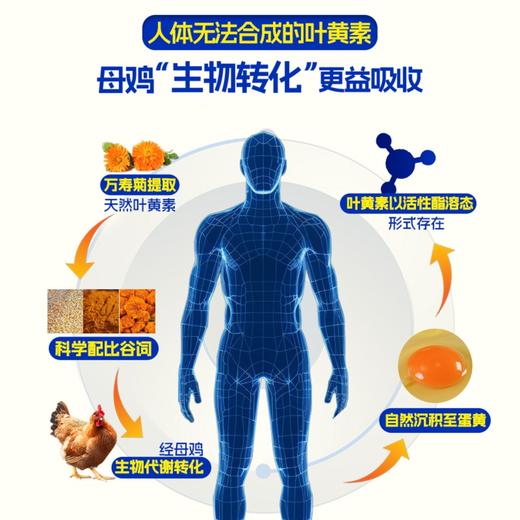 蛋鲜森 叶黄素可生食鸡蛋40枚礼盒装1800g 商品图6