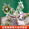 【青葫芦】那么大！立体书：植物 3-8岁 儿童3d立体书 商品缩略图3