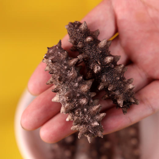 星龙港大连速发海参礼盒送礼佳品多规格可选 商品图2