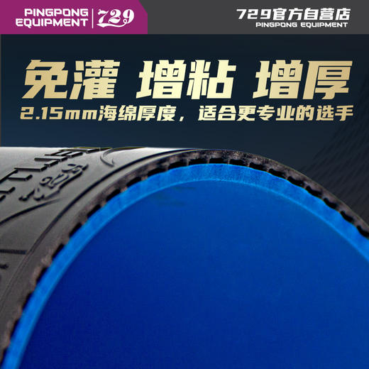 [热卖] 729 奔腾II 国套国特版 实验室版 专业队 省队 国家队使用  非生产线大货 商品图1