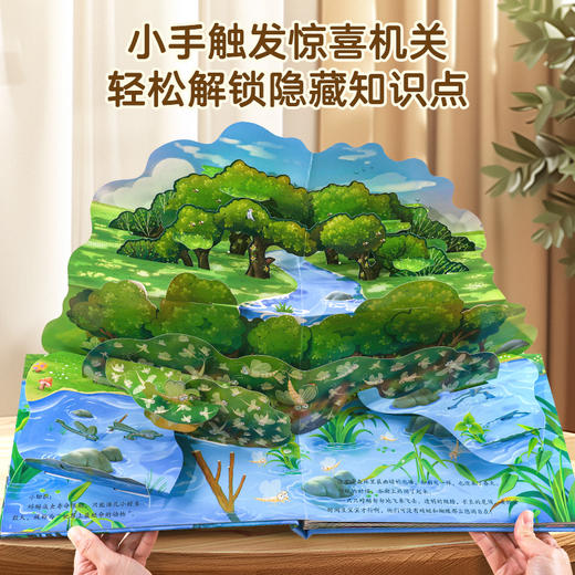 【青葫芦】【礼盒装】“生命是什么”小手翻翻立体书（全套6册）2-6岁儿童3d立体书绘本 生命的故事科普书 商品图4