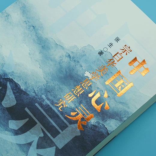 中国心灵：宗白华美学思想研究 商品图2