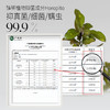 绽家6.18大促！【绽家香氛护衣柔顺喷雾200ml】护衣常备  有了它 再也不怕生活中的气味尴尬 ！0609 商品缩略图9