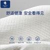 伊维诗乐三点定型枕 商品缩略图5