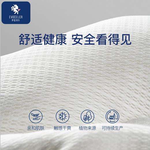 伊维诗乐三点定型枕 商品图5