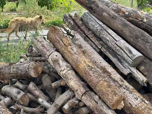 【陌上桃木系列-桃木小挂件】最早的一批桃树进入了老树期老树基本不会长桃子 伐掉之后的老桃树制作的桃木手串带自然木纹 美观大方 商品图7