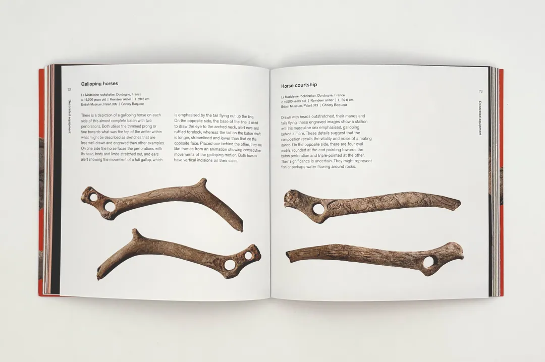 冰河时代 内页2.png