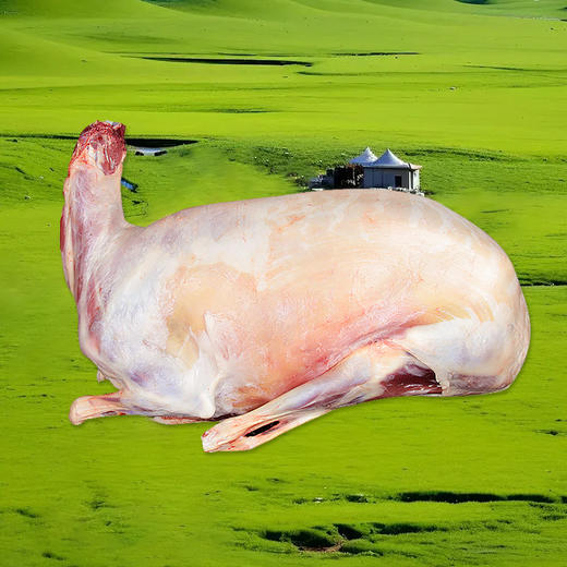 星龙港内蒙原切草原羊肉全羊礼*10kg 商品图3