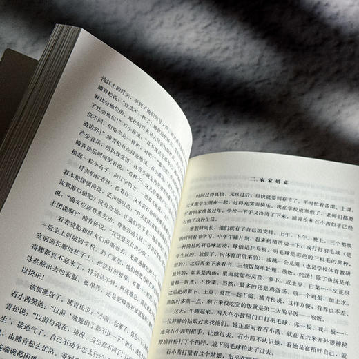 1970 上海—金堂 孙春梅 时代变迁 西部教育 作者亲身经历改编 商品图13