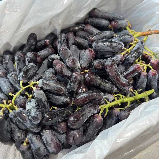 澳洲金手指黑提 商品图6