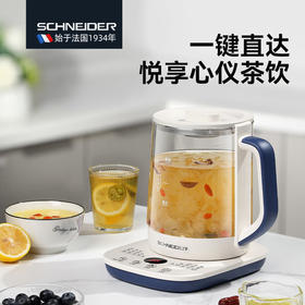 SCHNEIDER施耐德多功能养生壶 SWK-XHSL07
