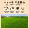 十月稻田 当季新米 绿色食品 五常大米 10斤（香米 东北大米 5公斤） /粮油调味 /米 /长粒香米 商品缩略图2