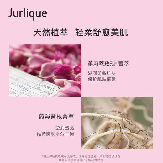 茱莉蔻馥郁玫瑰平衡花卉水100ml 商品图2
