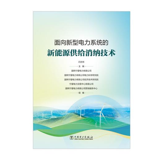 面向新型电力系统的新能源供给消纳技术 商品图1