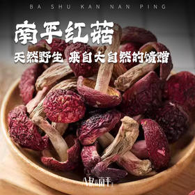 南平红菇干货食材