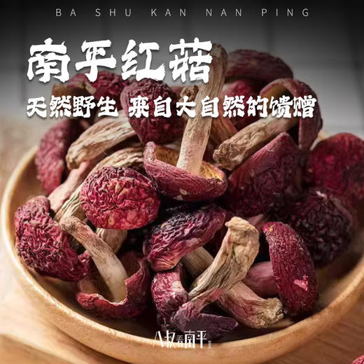 南平红菇干货食材 商品图0