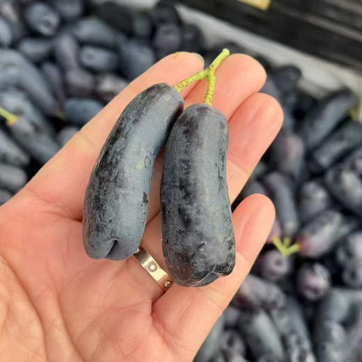 澳洲金手指黑提 商品图5