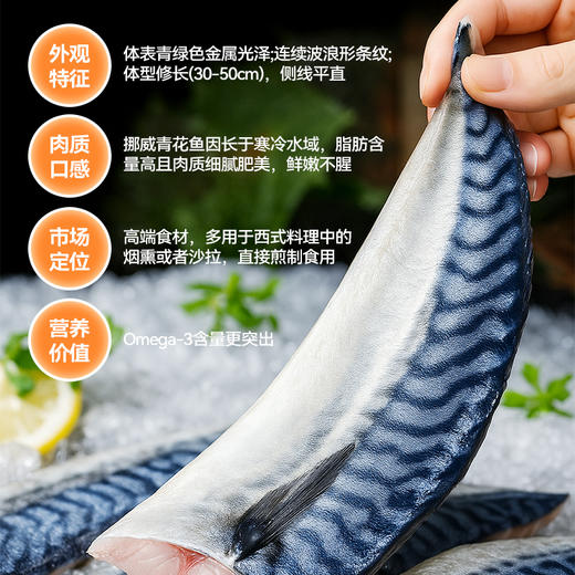 挪威薄盐青花鱼片 商品图1