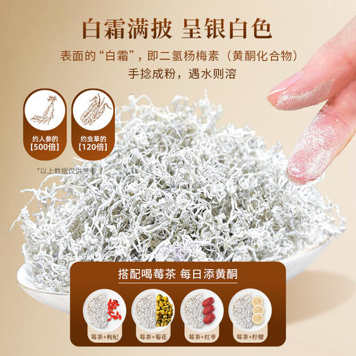 茶马世家莓茶张家界龙须芽尖湖南特产永定茅岩土家礼盒养生茶80g 商品图6