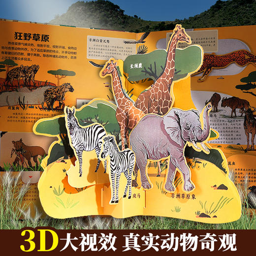 【青葫芦】那么大！立体书：动物 3-8岁 儿童3d立体书 商品图3