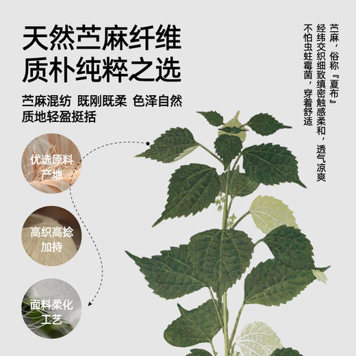 【天然苎麻轻淡裤】逸阳秋肌理感直筒高腰垂感休闲裤子5789 商品图5