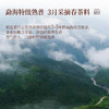 卢正浩熟普柑茶大厂勐海特级熟普新会核心小青柑生晒柑普茶罐装 商品缩略图3