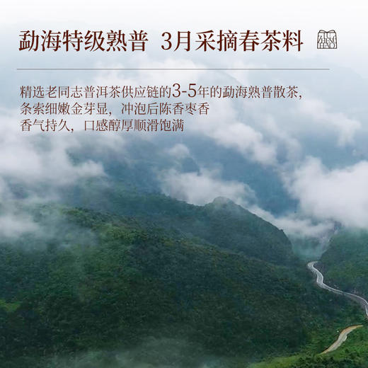 卢正浩熟普柑茶大厂勐海特级熟普新会核心小青柑生晒柑普茶罐装 商品图3
