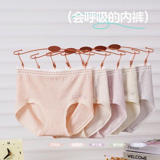 【3条装】女士高弹内裤无缝裸感蚕丝底裆内裤90-120斤【CSL25268】 商品图0