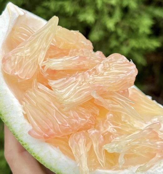 泰国金柚 鲜嫩的果肉 ⁢入口爆汁 商品图3