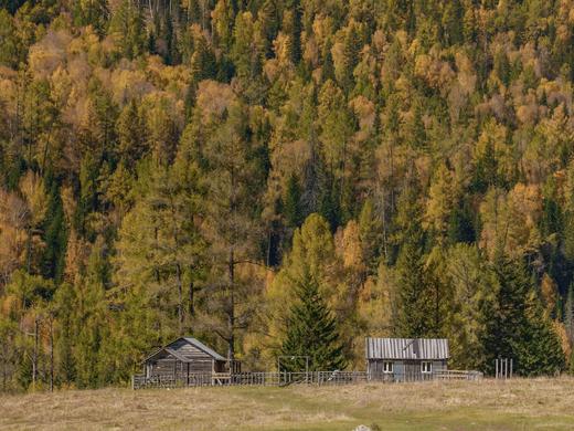 北疆秋色 | 赴一场秋日盛宴 新疆阿勒泰7日/8日 商品图14