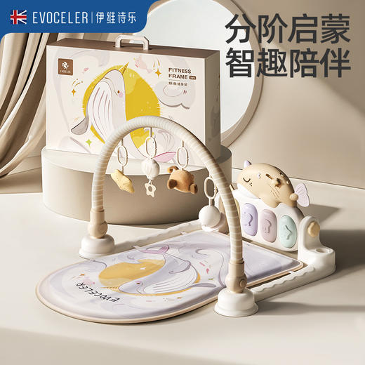 伊维诗乐健身架 商品图0