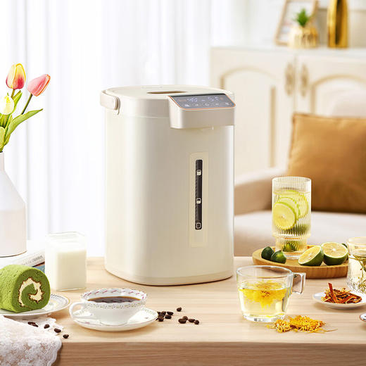 西屋Westinghouse-电热开水瓶WSP162 商品图3